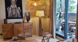 Location d’un appartement haut de gamme et entièrement rénové proche de la plage à Pointe aux Canonniers