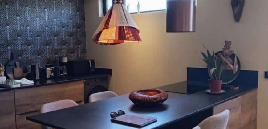 Location d’un appartement haut de gamme et entièrement rénové proche de la plage à Pointe aux Canonniers