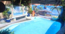 À vendre deux villas avec piscine proche de la plage à Albion