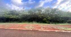 En vente un superbe terrain de 2124m2 situé dans un morcellement sécurisé et très recherché de Rivière Noire.