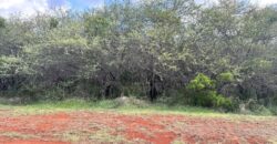En vente un superbe terrain de 2124m2 situé dans un morcellement sécurisé et très recherché de Rivière Noire.
