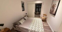 À vendre accessible aux étrangers – Appartement duplex meublé avec rez-de-jardin à Pointe aux Canonniers