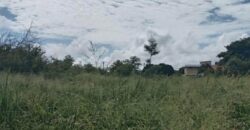 À vendre un terrain résidentiel de 951m2 proche de toutes commodités à Pointe aux Piments