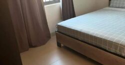 Location d’une agréable villa récente avec plunge pool dans un quartier résidentiel à Albion Maurice