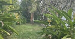 À louer une spacieuse villa de 420 m² avec dépendance, piscine et vaste terrain paysager de 2 100 m² à Calodyne Maurice