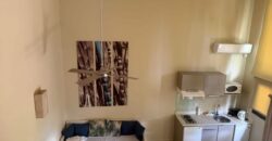 Accessible aux étrangers: En vente appartement duplex meublé avec jardin privatif à 100m de la Plage à Trou aux Biches Maurice