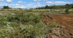 À vendre un terrain résidentiel de 275 m² situé sur la Route de La Salette Grand Baie Maurice
