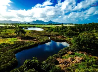 Investissez dans un duplex de prestige avec piscine privée au cœur de Pointe d’Esny Le Village Maurice