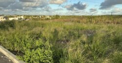 En vente terrain de 53 perches située dans un secteur en plein développement à Mont Mascal Grandbaie Maurice