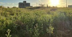 En vente terrain de 53 perches située dans un secteur en plein développement à Mont Mascal Grandbaie Maurice