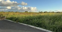 En vente terrain de 53 perches située dans un secteur en plein développement à Mont Mascal Grandbaie Maurice