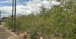 En vente un terrain résidentiel de 304 m² proche plage à Pointe aux Piments Maurice